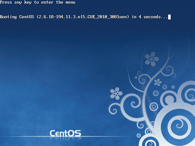 Before Booting Kernel
