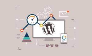 افزایش سرعت وردپرس WordPress