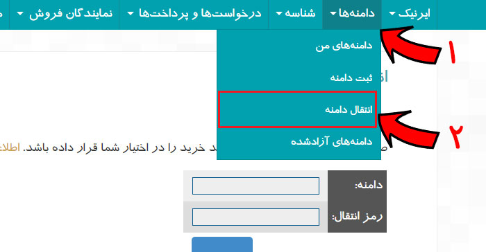 انتقال دامنه در ایرنیک