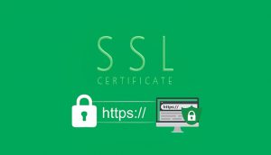 رفع مشکل سبز نشدن گواهینامه SSL